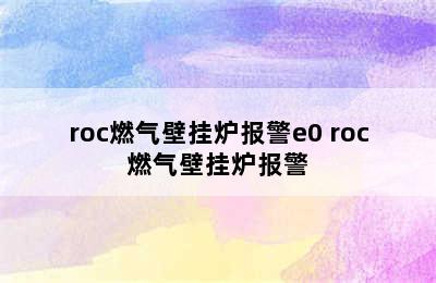 roc燃气壁挂炉报警e0 roc燃气壁挂炉报警